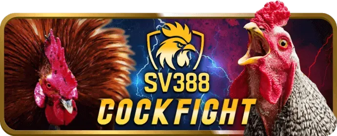 Hỗ trợ 24/7 8888p