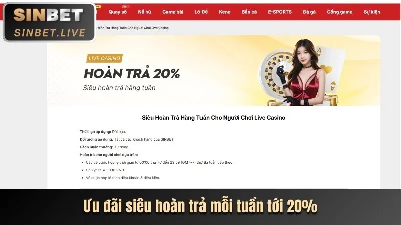 Hoàn trả hàng ngày/tuần tại 8888p